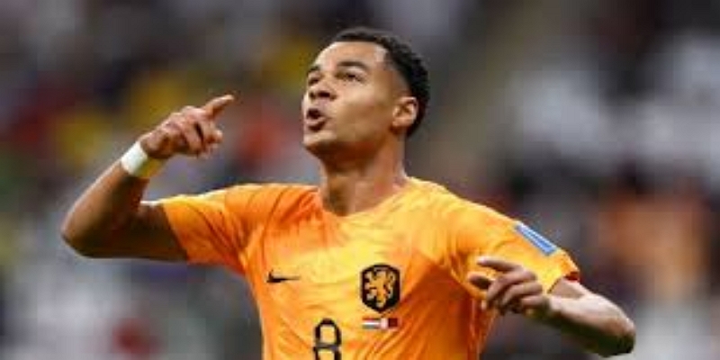 帕杜即将接任：战术革新与“开元棋牌思维”重塑红牌军团-开元棋牌